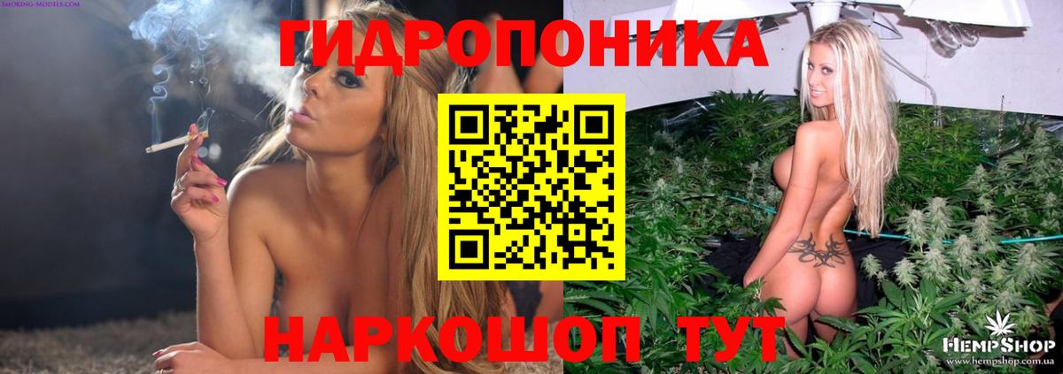 Армавир  Бошки марихуана Bruce Banner  Конопля тримм  Вход с VPN 